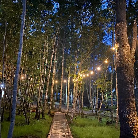 Boker Tov Pucon Hotell Eksteriør bilde