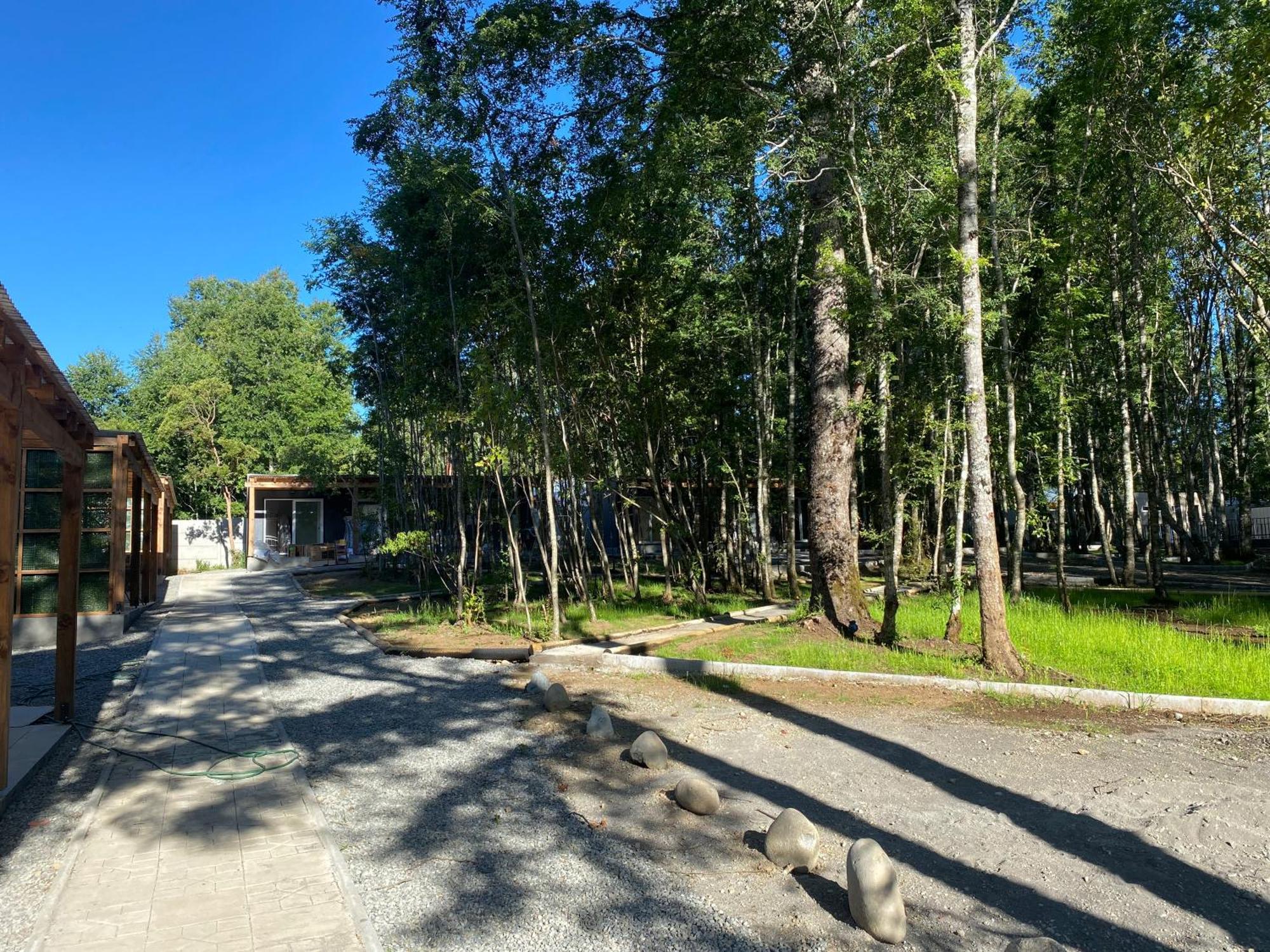 Boker Tov Pucon Hotell Eksteriør bilde