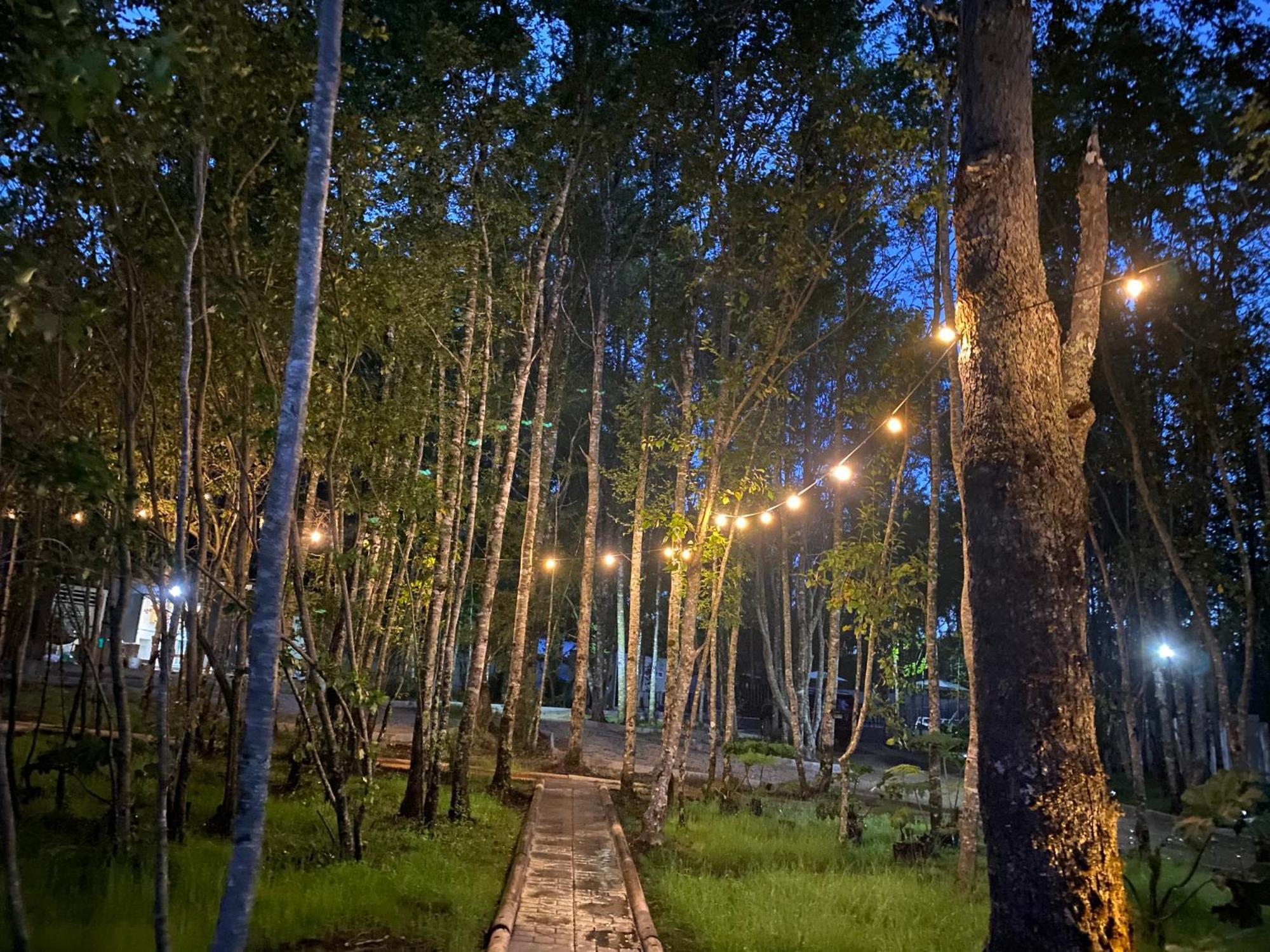 Boker Tov Pucon Hotell Eksteriør bilde