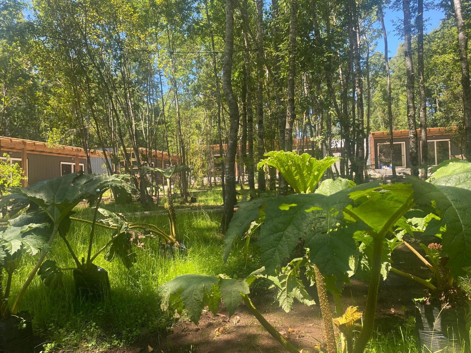 Boker Tov Pucon Hotell Eksteriør bilde